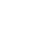 Cluster Systems